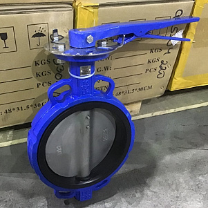 Затвор дисковый Ду-200